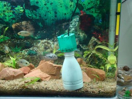 Сифон из бутылки и головки от фильтра в аквариуме.